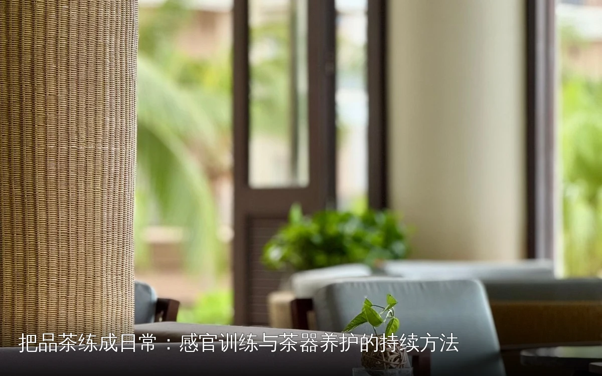 把品茶练成日常:感官训练与茶器养护的持续方法